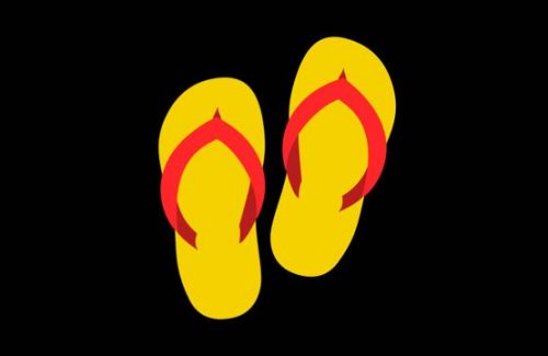 Flip-Flops