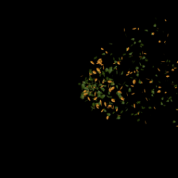 Leaves in the Wind