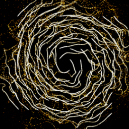 Spinster