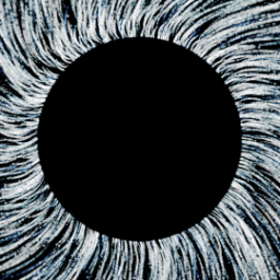 The Eye