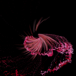 Orchid Tracers