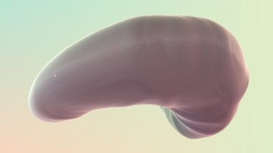 Abstract-Strange-Lombric