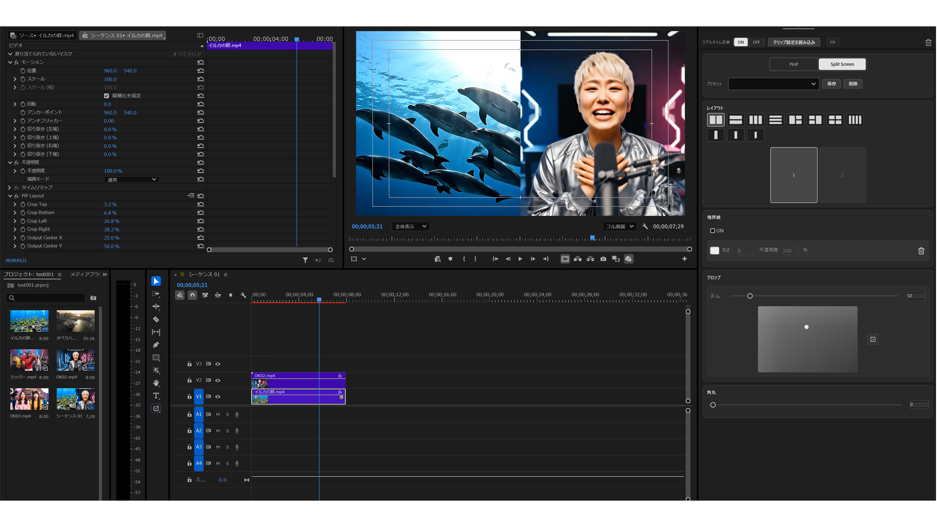Premiere Pro で PiP Layout を使った分割画面の使用画面