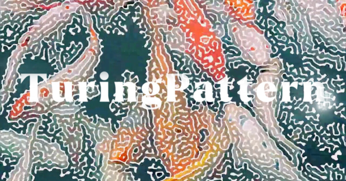 Turing Patterns Examples Turing Pattern - Flashback Japan Inc