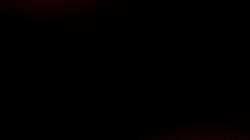 Particle-and-Light-Leaders-10